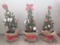 IMG_20201217_140323.jpg