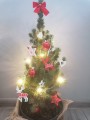 IMG_20201217_143339.jpg