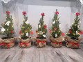IMG_20201210_143624.jpg