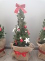 IMG_20201217_140337.jpg
