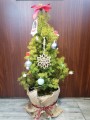 IMG_20211208_095420.jpg