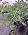 20230602_093408.jpg