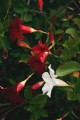 Magama_Studio_04.jpg